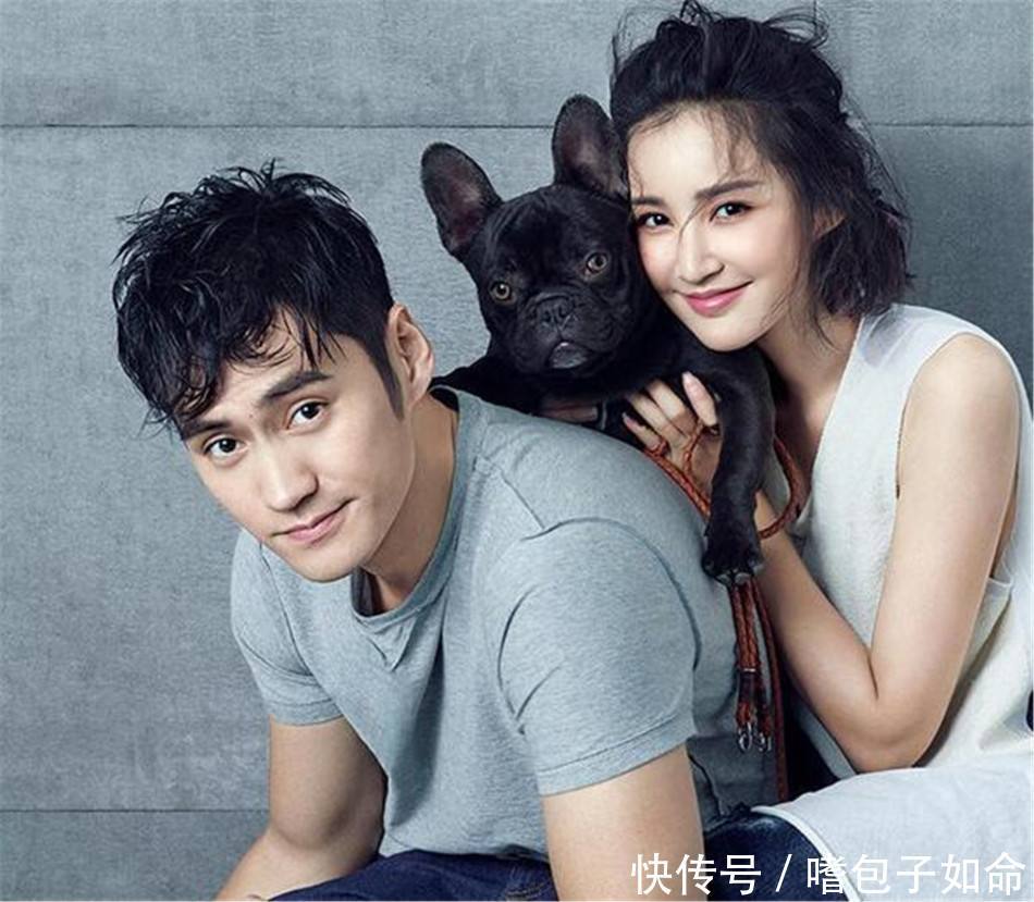 张歆艺晒狗狗盘腿照表情呆萌酷似袁弘,不过这肚子咋胖了?