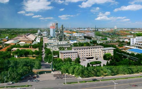 大港区经济总量约多少元_约不约图片(3)