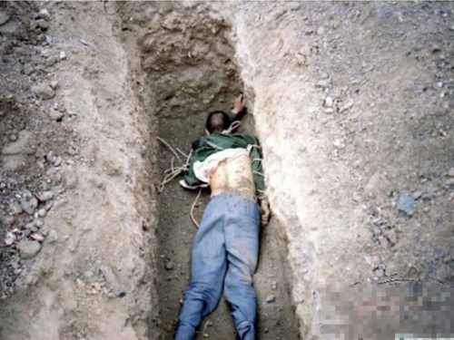 2014年枪毙女死刑犯图片展示