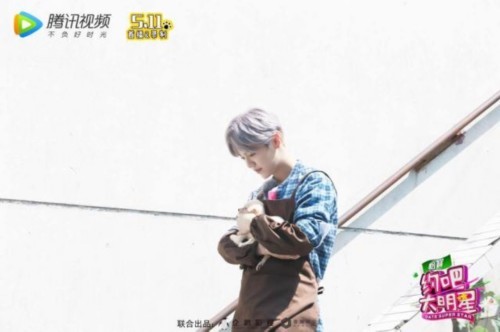 正确抱狗狗姿势教程 t01763e01aa189622a8.jpg?size=500x332