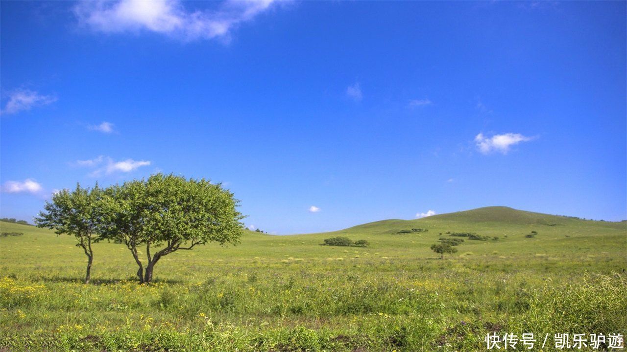 我国陆地面积最大的城市,比一个省还大,你知道是哪里吗?