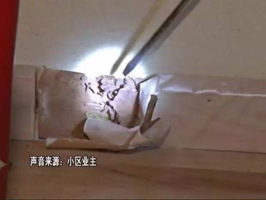 吓人!广州一豪宅被白蚁侵袭 女主人不敢回家 - 天地人 - 天地人和 吓人!广州一豪宅被白蚁侵袭 女主人不敢回家 - 天地人 - 天地人和