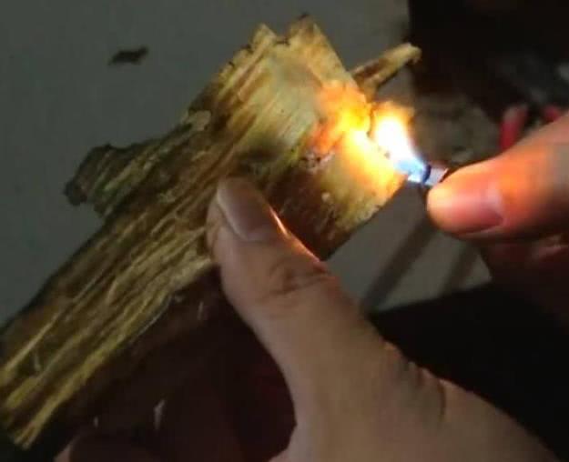 农村小伙为了挖这个宝贝,锄头都挖断了!村里人都称其为“神器”