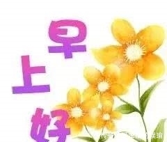 早晨好祝福语表情动画很猫表情包图就烦动态最新漂亮早上好表图片
