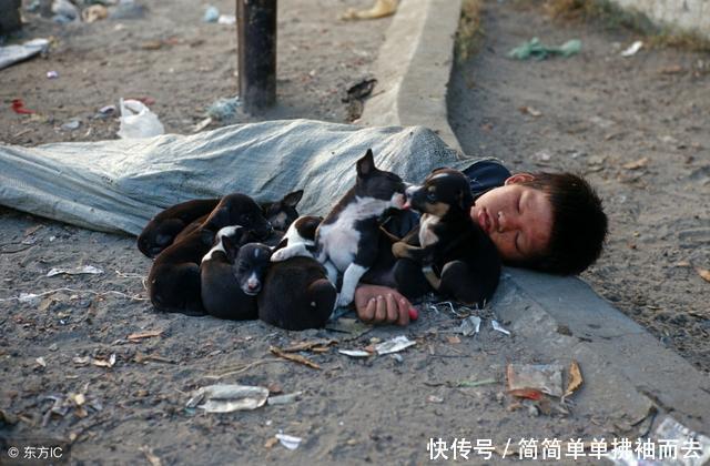 他将小乞丐当亲儿子,遇算命先生一番测算:贵人临门