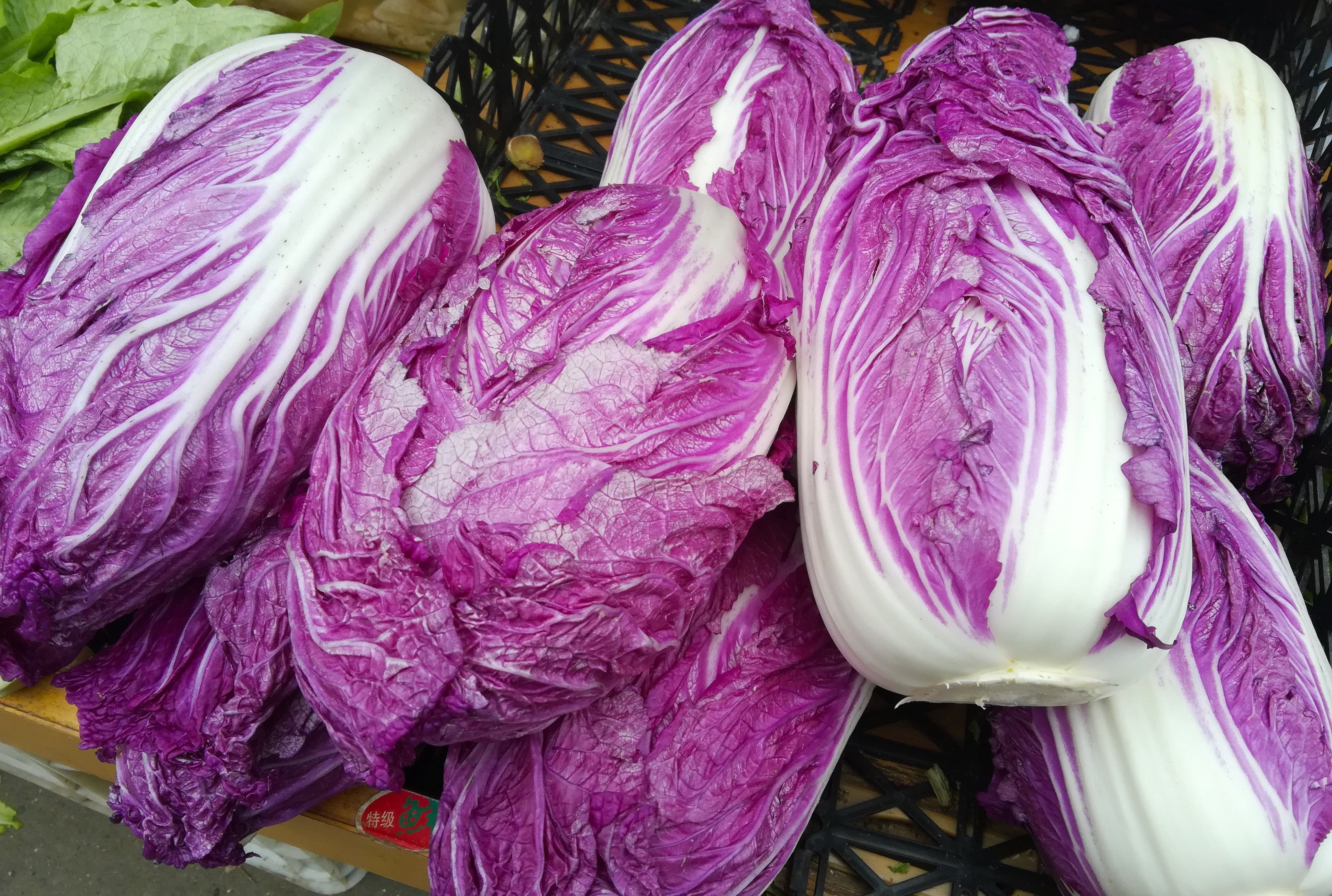紫色大白菜亮相菜市场,售价2元钱一斤;它是转