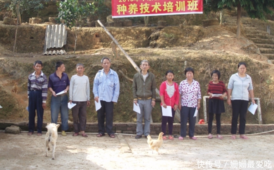 第二代残疾人证查询