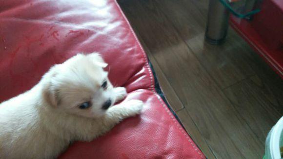 2c3a000499d89d30e160