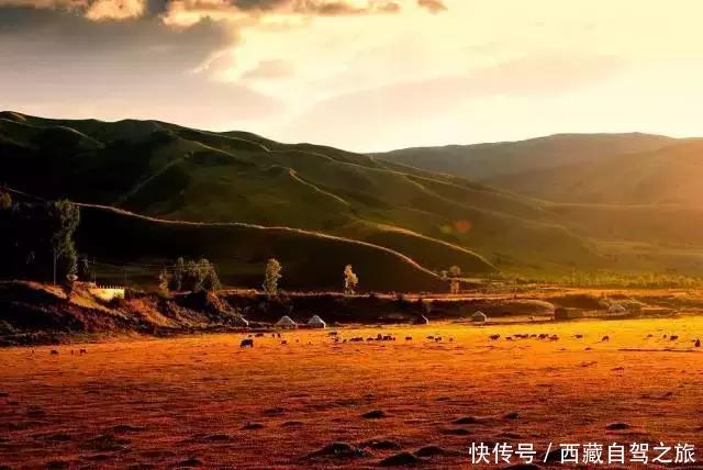 巩乃斯大草原,天山深处的“伊甸园”,一年四季都美得惊人!