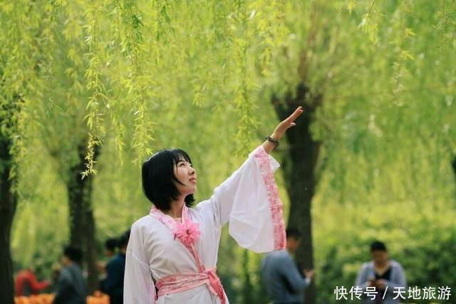 花卉摄影:醉人郁金香