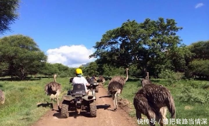 柬埔寨是落地签吗