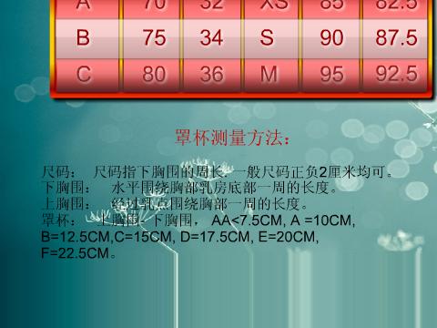 内衣尺码明细表_衣服尺码对照表(3)