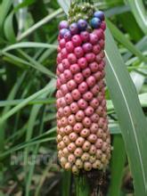 t017f52cba95a1bcbe4.jpg