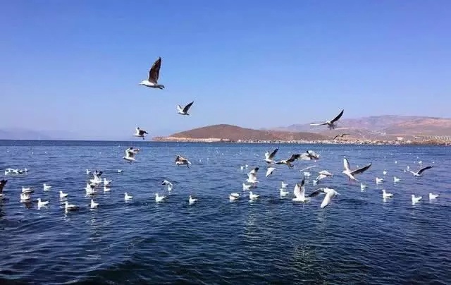 中国最乱取名字的省份,把湖称为海,游客:最初以