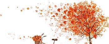 「综治动态」宝街开展棚改拆迁区安全隐患排查