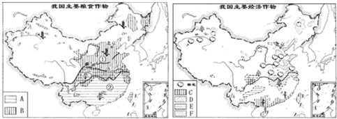 代表甘蔗的是______我国冬小麦产区中国农作物分布图我国农作物的分布