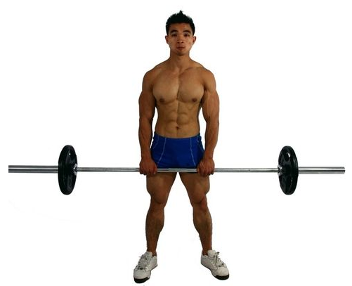 怎么练好斜方肌?_360问答