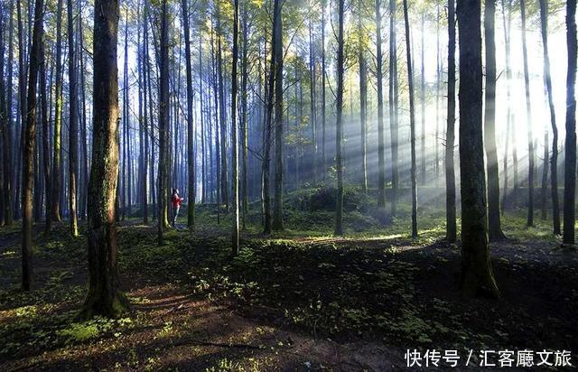 它比重庆洪崖洞火得更早！修炼亿年只为与你相遇