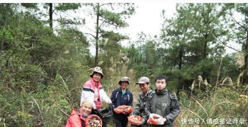 这种东西在农村到处都是，不料拿到市场成宝贝，卖出100一斤