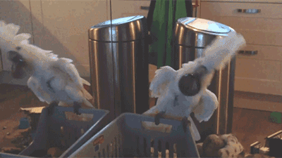 爆笑gif图:妹子你这也太尴尬了吧