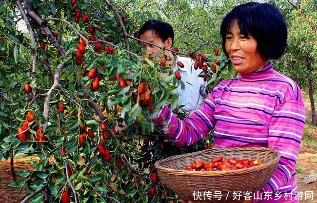 转载:枣庄·山亭首届农民丰收节暨第七届长红枣文化旅游节即将开幕