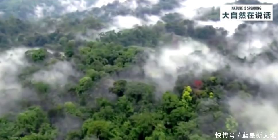 t0188a222fa3821f62e.jpg?size=968x486