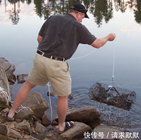 一男子家门前河里放下铁笼子,第二天提起来时惊喜了!