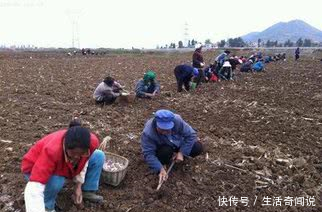 明知道种地不赚钱,为什么农民不愿意放弃土地?