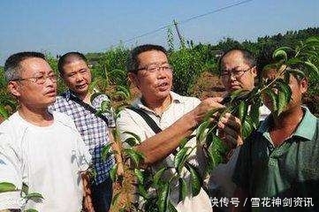 2018农村改革经济红利新政策,未来擅用土地规