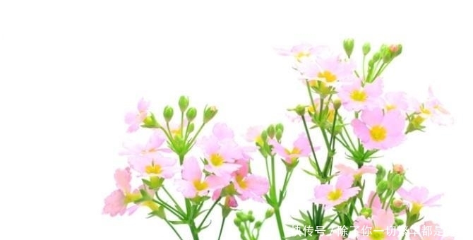 t018a3d09d8d8bf6976.jpg?size=670x340