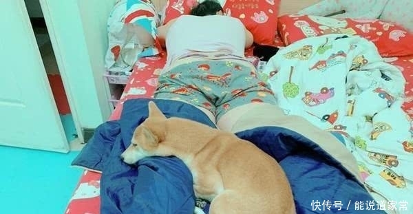 t018aeebde7529822f6.jpg?size=600x311