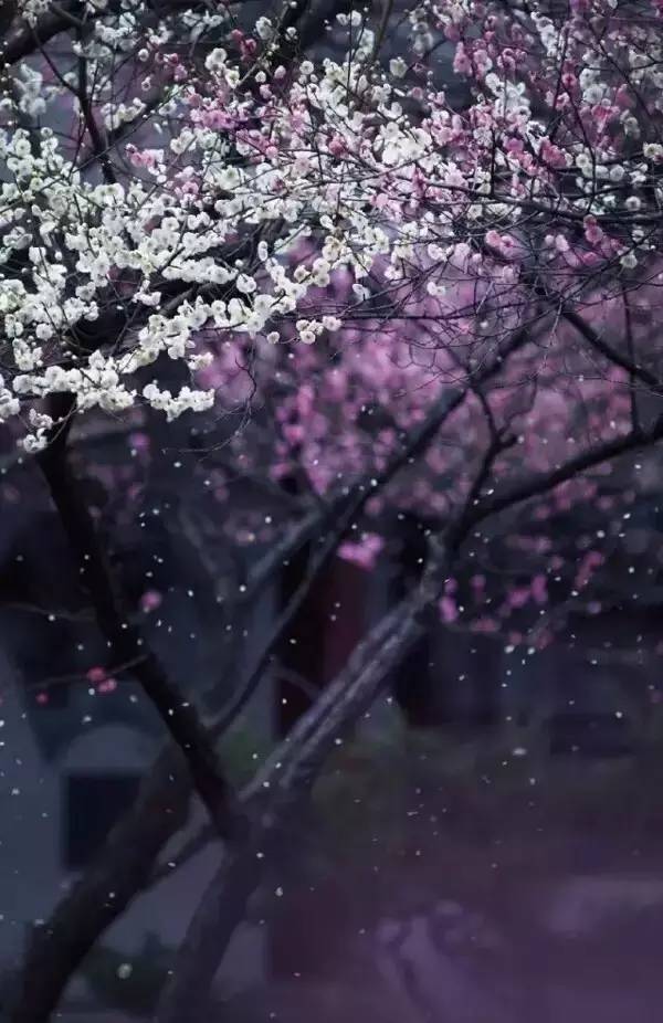春雨怎么拍才有味?30张经典作品给你灵感