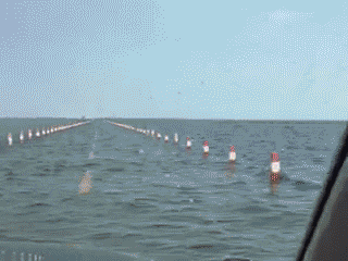 你们猜我坐的是车还是船.