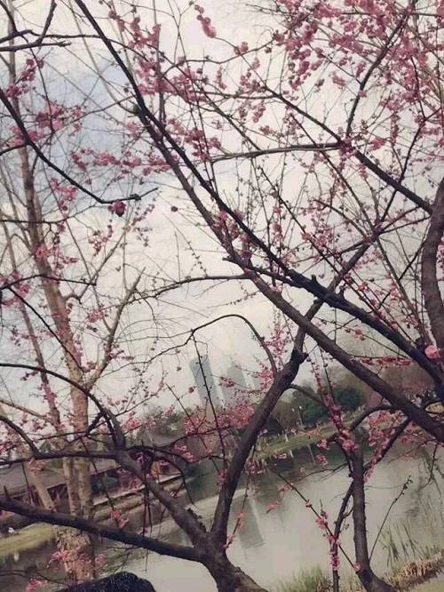 也许我们都错了,有些三四五线房产仍然值得买!