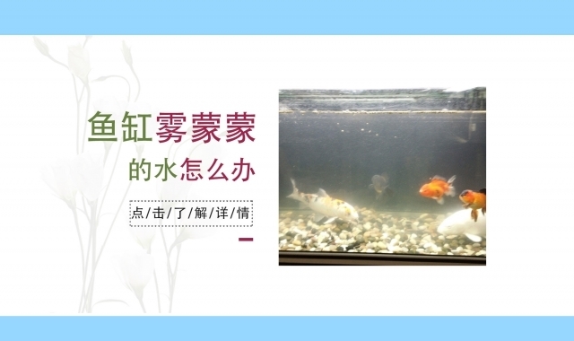 沈陽(yáng)市做魚(yú)缸的廠家電話是多少（沈陽(yáng)市做魚(yú)缸的廠家電話是多少號(hào)）