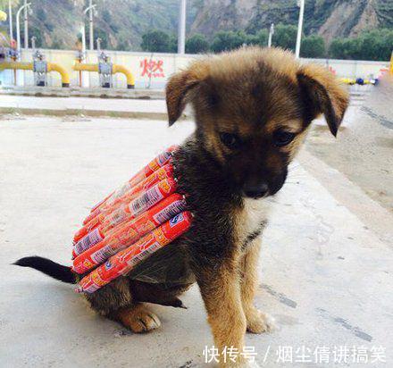 搞笑图片搞笑段子:老板,给我来一杯毒药,再来一