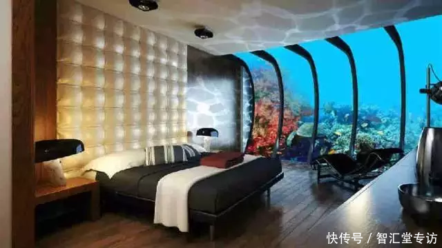 兰博基尼警车、疯狂的建筑、不可思议的宠物......这是迪拜人的生