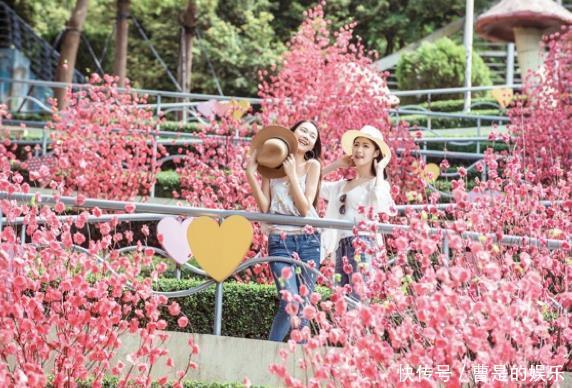 五一小长假恢复,深圳旅游市场紧急加推中期产