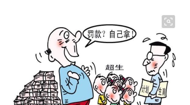 什么是社会抚养费