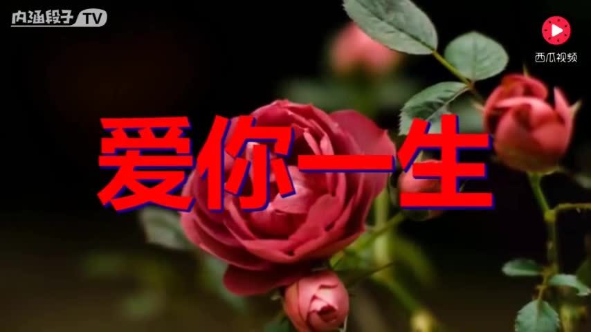 爱你一辈子