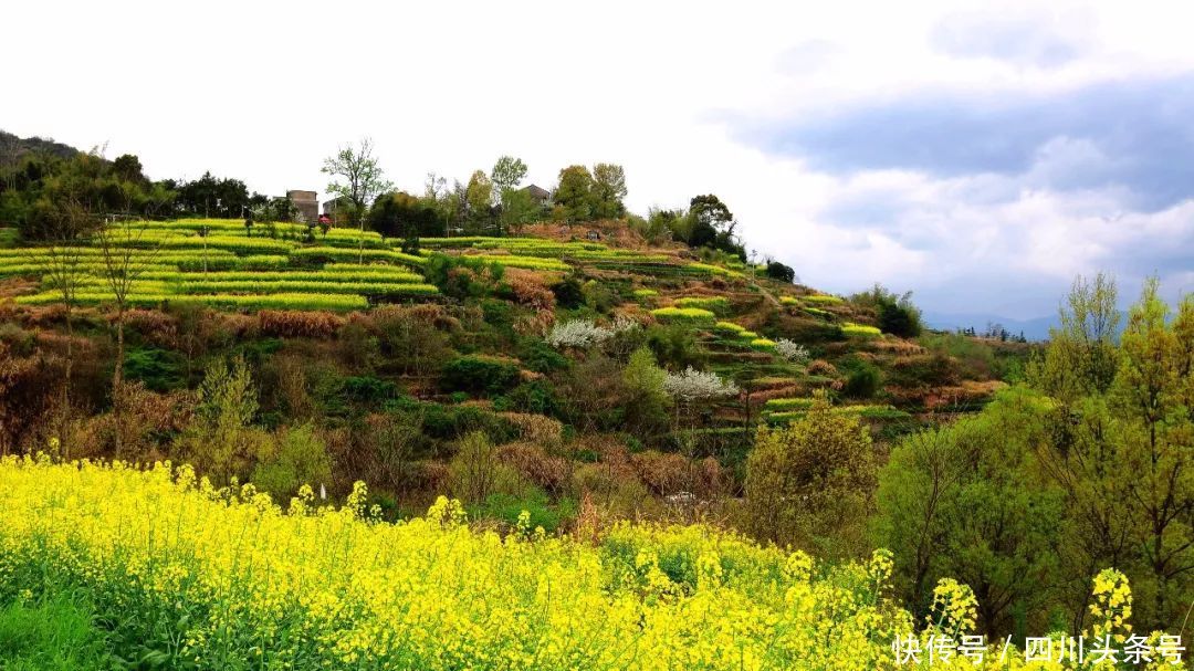 发改舆情之这样的乡村振兴,你敢说不期待?