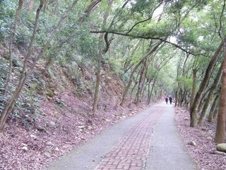 扶疏的意思_360问答