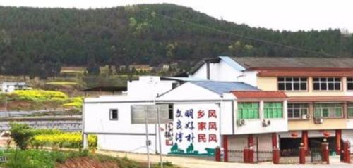 农村土地所有权