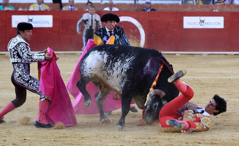 太惨了!西班牙电视直播中斗牛士惨被公牛刺死