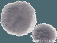 君子谋道不谋食