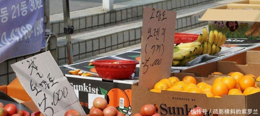 韩国水果为什么会这么贵 我们应该从中吸取一