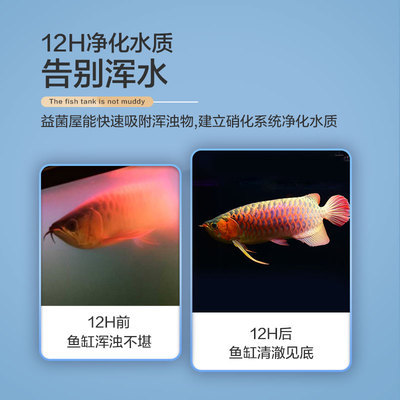 深圳水族批发市场在哪里进货便宜些（深圳水族批发市场在哪里进货便宜些呢）