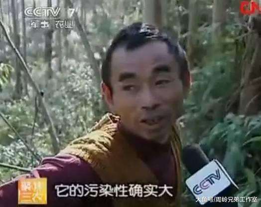 广西种植桉树的人开始强力反驳 利益驱使下速生桉种植达4000万亩