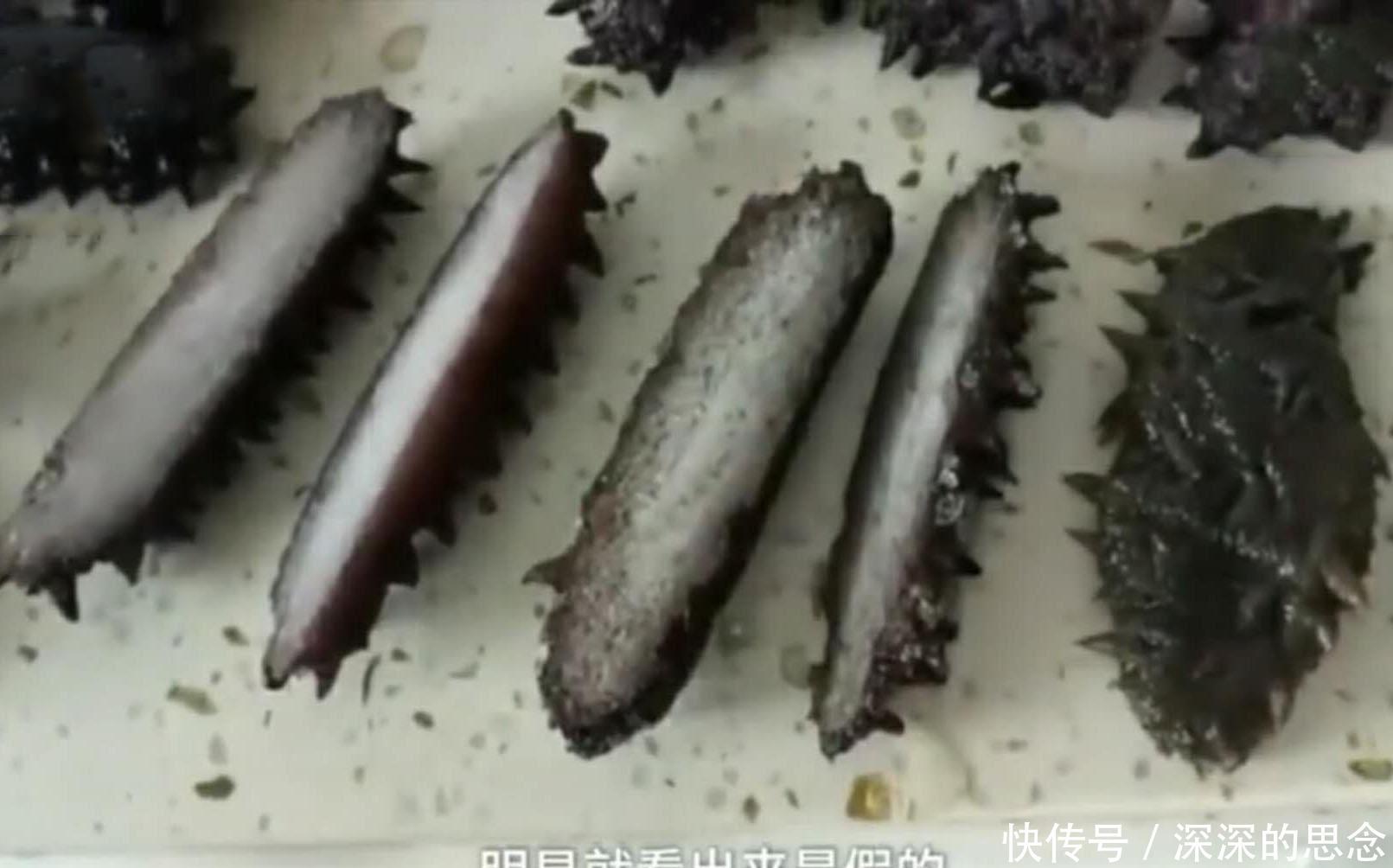 大爷900元买到假海参,怒找媒体曝光:这海参连