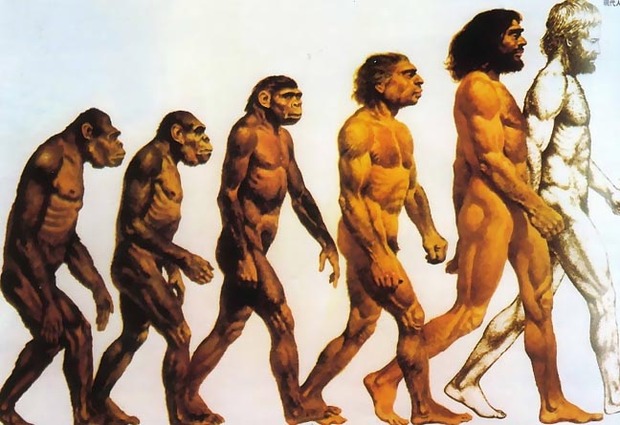 从猿到人的进化过程大致是怎样的